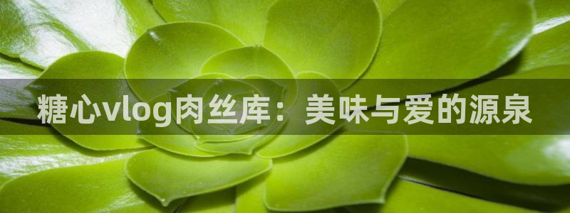 ccav糖心vlog：糖心vlog肉丝库