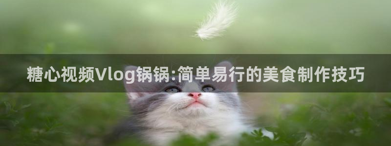 糖心vlog着迷：糖心视频Vlog锅锅:简单易行的美食制作技巧