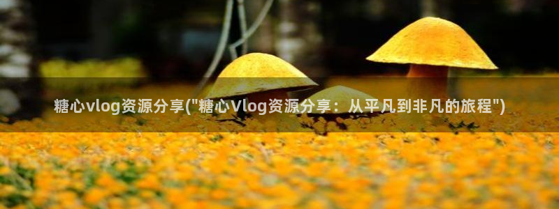 糖心vlog女主播推荐：糖心vlog资源