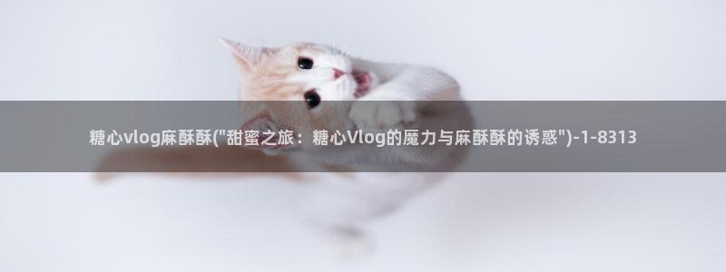糖心莉子vlog