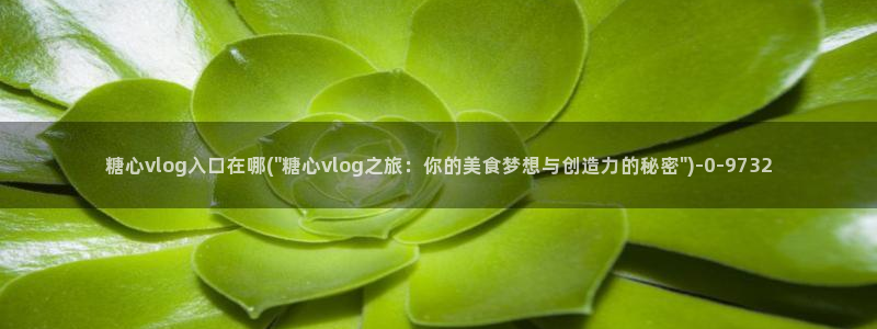 糖心vlog 冉冉：糖心vlog入口在哪(\