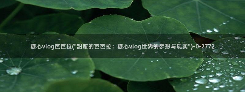 糖心vlog破解：糖心vlog芭芭拉(\