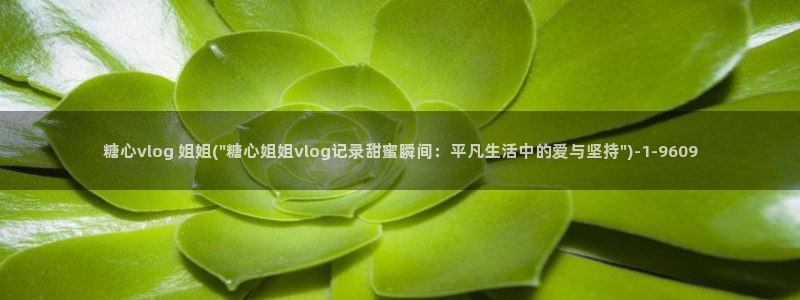 糖心vlog图标：糖心vlog 姐姐(\