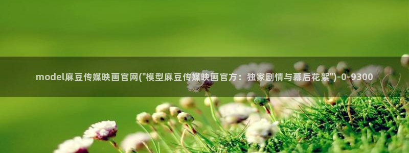 麻豆 精选整理：model麻豆传媒映画官网(\