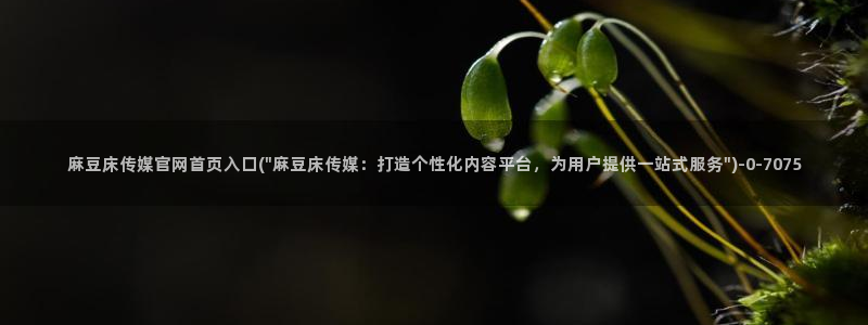 麻豆视频 站合集：麻豆床传媒官网首页入口(\