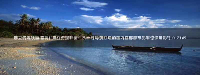 麻豆视频资源整理：麻豆传媒映画 官网(\