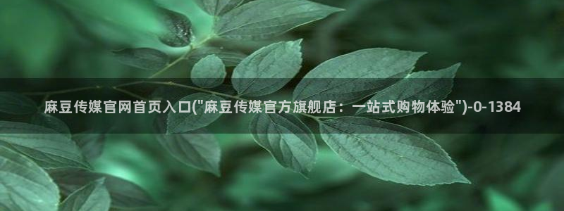 麻豆视频最新高清：麻豆传媒官网首页入口(\