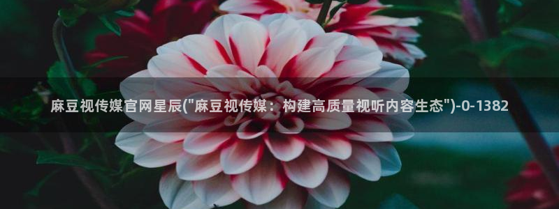 麻豆视频 短片整理：麻豆视传媒官网星辰(\