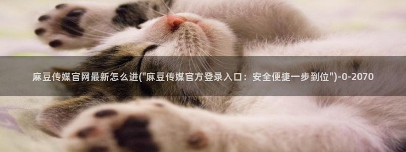 麻豆 下载合集：麻豆传媒官网最新怎么进(\