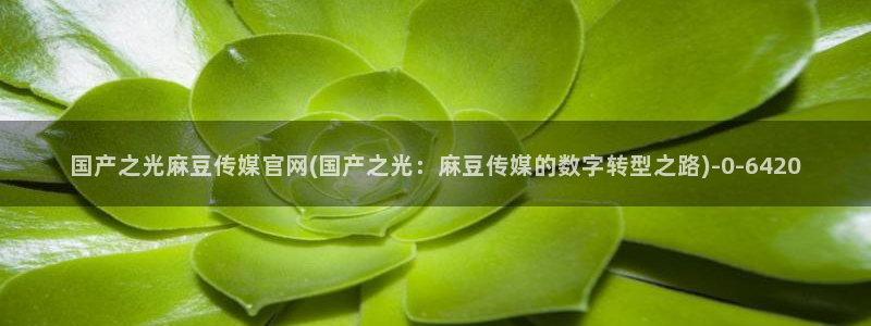 麻豆官方高清：国产之光麻豆传媒官网(国产之光：麻豆传媒的