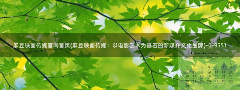 麻豆视频 专区整理：麻豆映画传媒官网首页(麻豆映