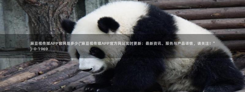 麻豆视频 资源更新：麻豆视传媒APP官网是多少(
