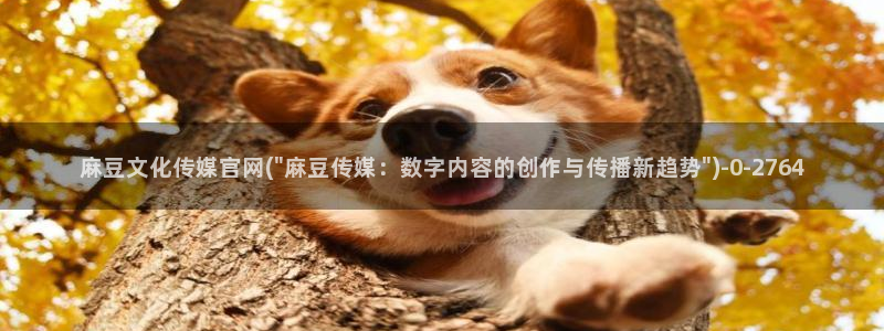 麻豆视频热门视频：麻豆文化传媒官网(\