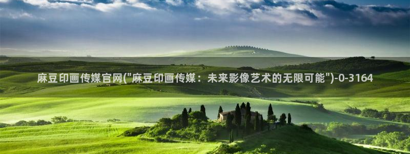 麻豆 热门：麻豆印画传媒官网(\