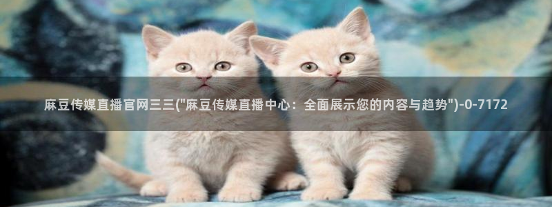 麻豆视频 高清推荐：麻豆传媒直播官网三三(\