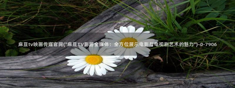 麻豆完整版导航：麻豆tv映画传媒官网(\
