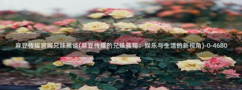 麻豆视频图集高清：麻豆传媒官网兄妹蕉谈(麻豆传媒的兄妹蕉聊：娱乐与生活的新视角)