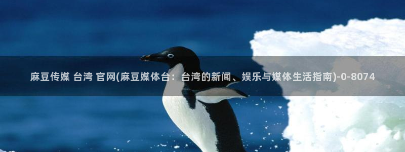 麻豆视频专区在线看：麻豆传媒 台湾 官网(麻豆媒体台：台