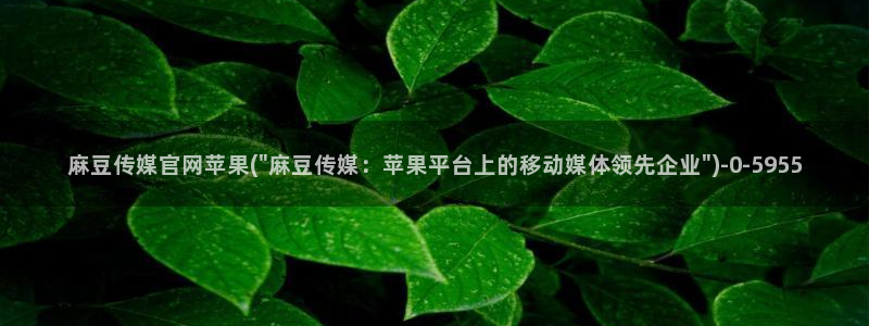 麻豆 入口完整版