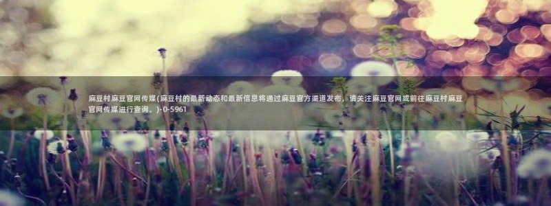 麻豆视频 高清最新