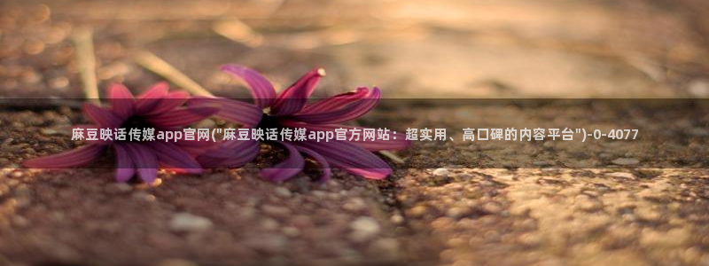 麻豆视频 在线看页面