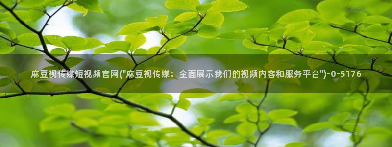 麻豆视频内容最新