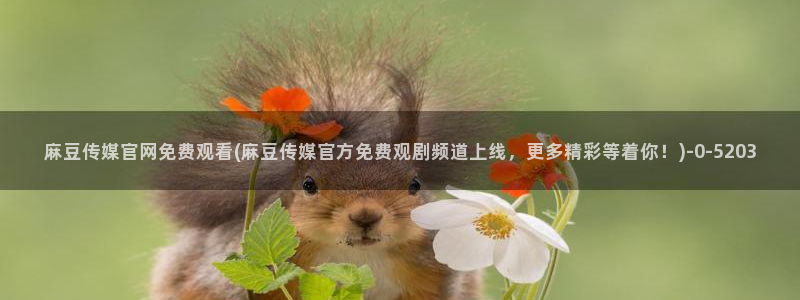 麻豆在线看推荐