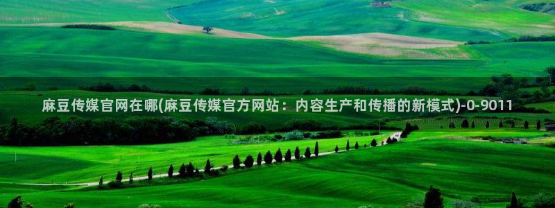 麻豆 入口合集：麻豆传媒官网在哪(麻豆传媒官方网站：内容生产和传播的新模式)