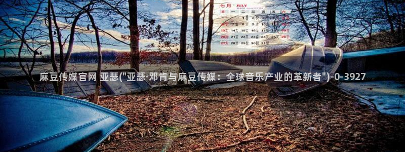 麻豆视频最新资源：麻豆传媒官网 亚瑟(\
