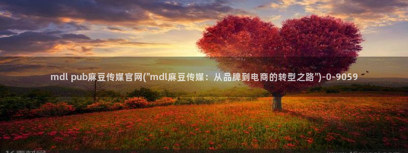 麻豆视频精选推荐：mdl pub麻豆传媒官网(\