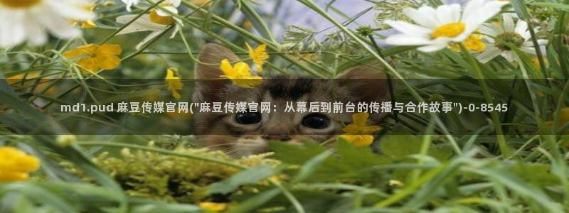 麻豆 官方最新：md1.pud 麻豆传媒官网(\