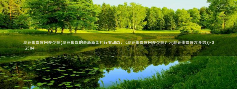 麻豆视频 最新推荐：麻豆传媒官网多少啊(麻豆传媒的最