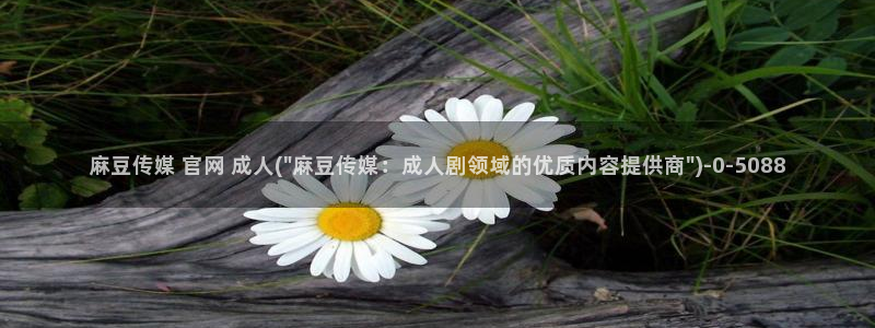 麻豆高清完整版：麻豆传媒 官网 成人(\